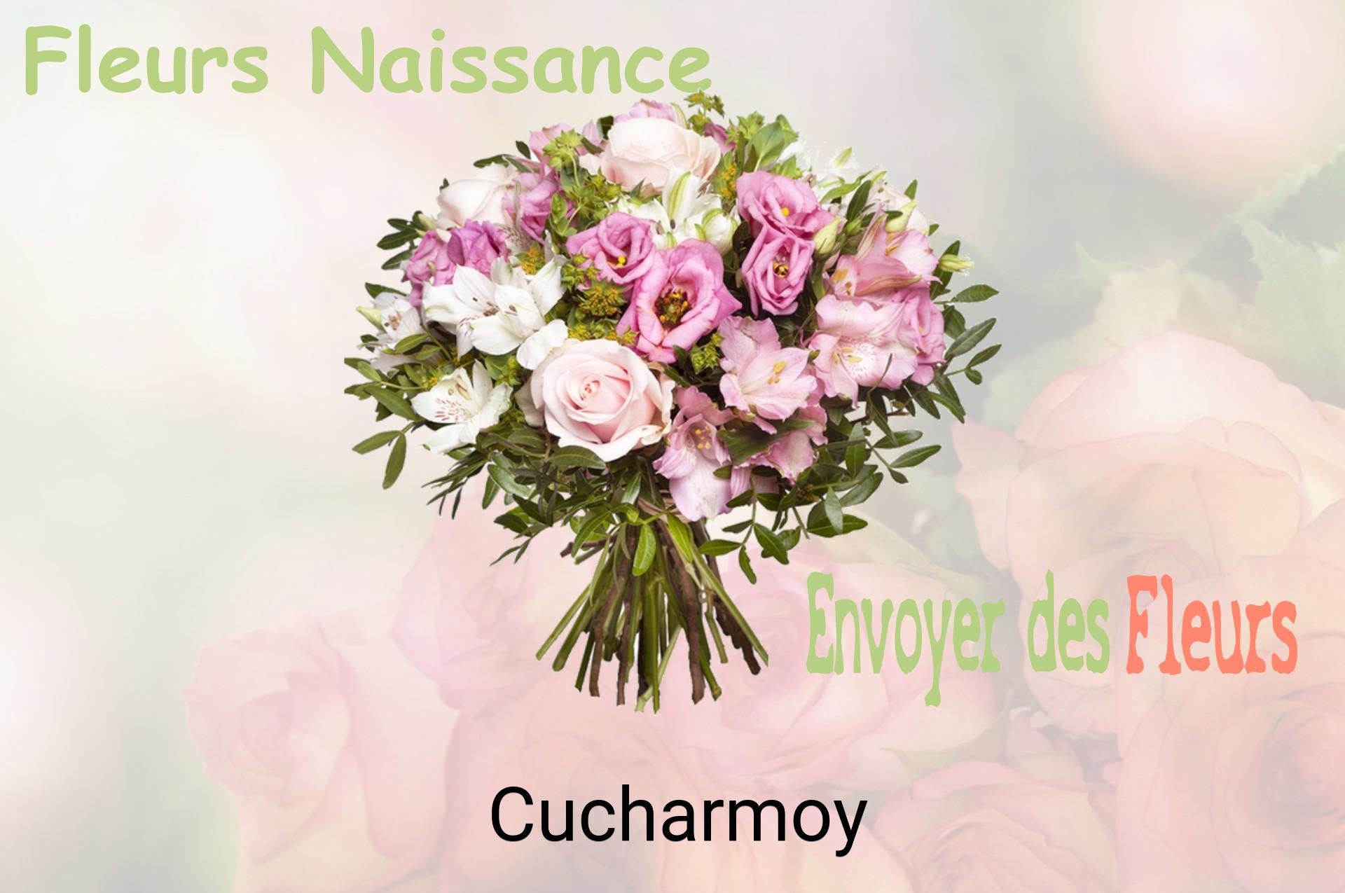 Bouquet de fleurs de naissance livré à Cucharmoy
